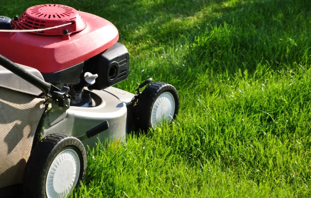 Tondeuse ECHO RM-530