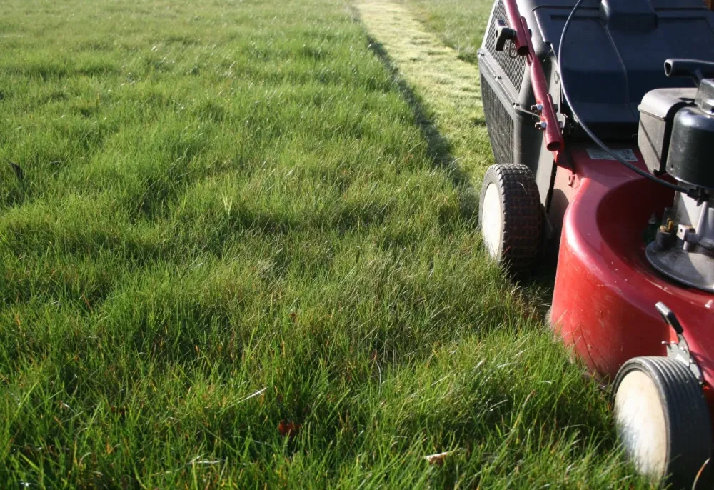 Motoculture de plaisance à Thizy-les-Bourgs