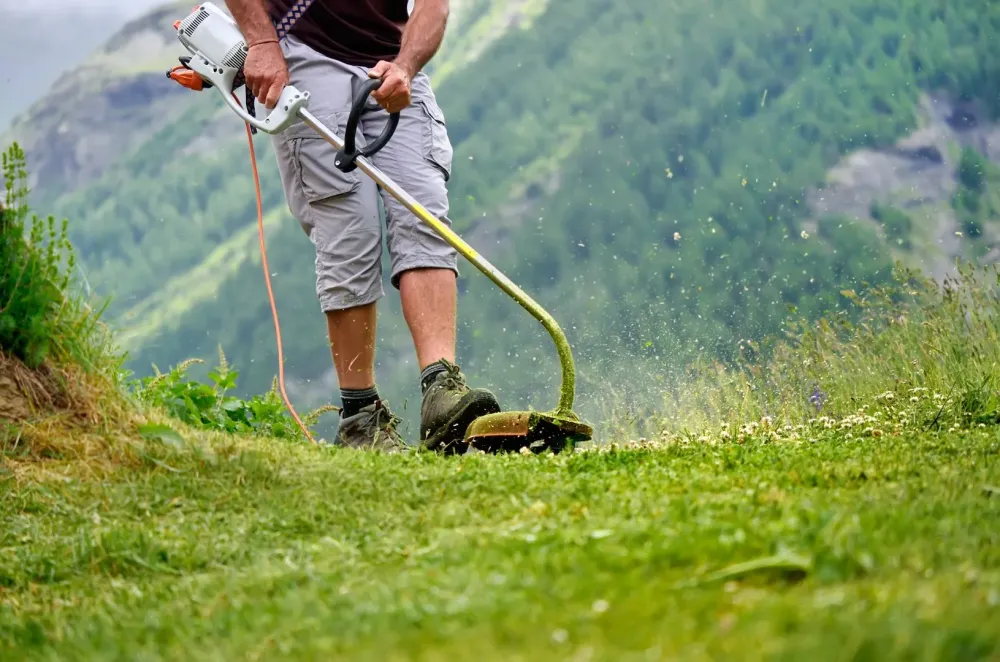 Débroussailleuse à roues d’occasion